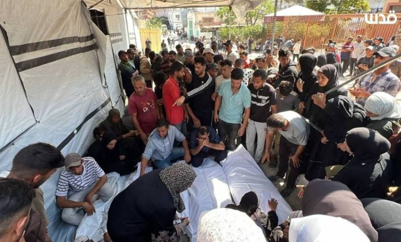بين غزة الشاهدة.. وغزة الشهيدة