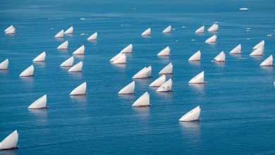 تأجيل سباق دلما التاريخي للمحامل الشراعية إلى الإثنين المقبل