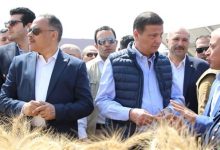 تخفيض تكاليف معدات الحصاد لمزارعي القمح لـ 1000جنيه بدلًا من 1200 جنيه للفدان