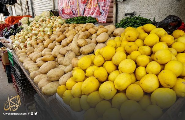 تعرف على أسعار الليمون في السوق المركزي ...