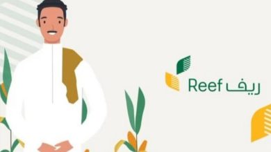 رابط التقديم لدعم ريف والشروط المطلوبة للرجال والنساء