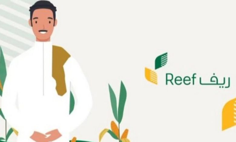 رابط التقديم لدعم ريف والشروط المطلوبة للرجال والنساء
