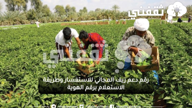 رقم دعم ريف المجاني للاستفسار وطريقة الاستعلام برقم الهوية