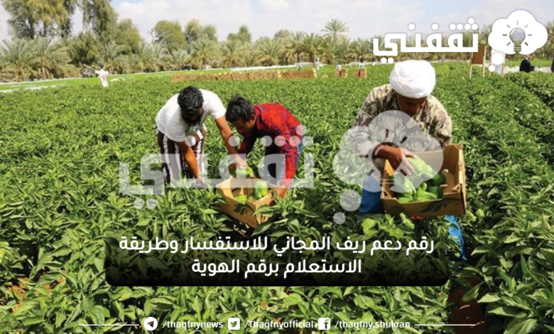 رقم دعم ريف المجاني للاستفسار وطريقة الاستعلام برقم الهوية