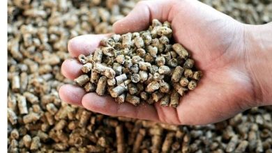 شعبة القصابين: ارتفاع تكلفة الأعلاف سبب ارتفاع الأسعار.. وهامش ربح الجزار لا يتجاوز 7%