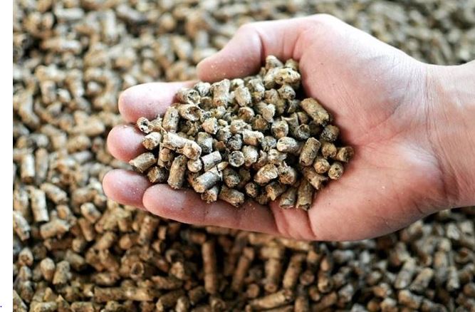 شعبة القصابين: ارتفاع تكلفة الأعلاف سبب ارتفاع الأسعار.. وهامش ربح الجزار لا يتجاوز 7%