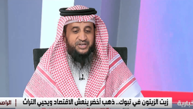 صاحب مزارع: الباحة تنتج حاليًا أجود أنواع الزيتون في المملكة
