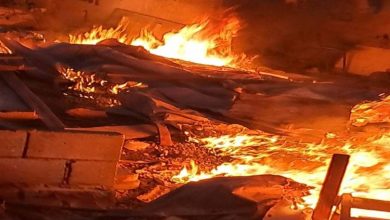 عصابات المستوطنين تهاجم ممتلكات الفلسطينيين في بيت لحم وجيش الاحتلال يشن حملة اعتقالات في الضفة 