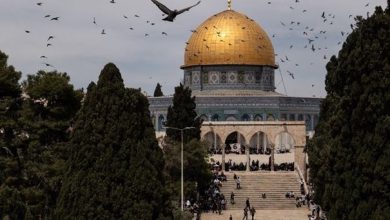 عين على القدس يسلط الضوء على مشاريع الإعمار الهاشمية في...