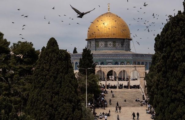 عين على القدس يسلط الضوء على مشاريع الإعمار الهاشمية في...