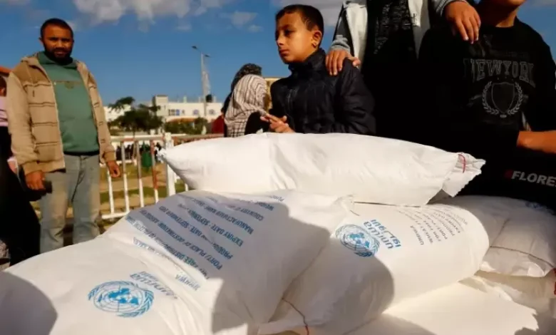 قريبًا .. "الأغذية العالمي" يعلن استئناف توزيع الطحين والمساعدات بما يشمل شمال غزة