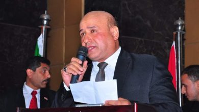 كلمة الرئيس السيسي تؤكد حرص القيادة السياسية على وحدة الصف العربي
