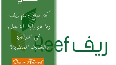 كم مبلغ دعم ريف للعاطلين عن العمل وربات البيوت والمتقاعدين وما هو رابط التسجيل في البرنامج؟