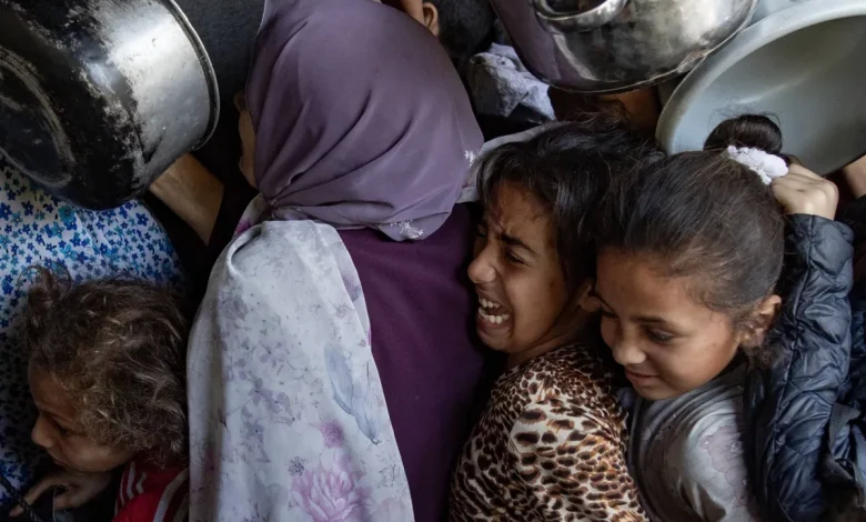 لم نوزع أي مساعدات إنسانية بغزة حتى الآن لانعدام الأمن