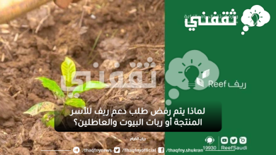 لماذا يتم رفض طلب دعم ريف للأسر المنتجة أو ربات البيوت والعاطلين؟