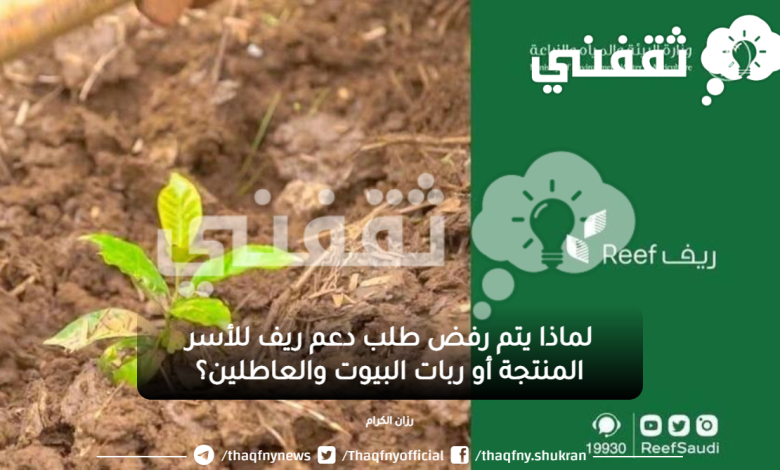لماذا يتم رفض طلب دعم ريف للأسر المنتجة أو ربات البيوت والعاطلين؟