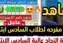 مبروك النجاح... نتائج السادس الابتدائي العراق 2025 رسمياً بالخطوات الآن epedu.gov.iq