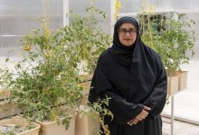 مجلس سيدات أعمال عجمان يدعم المشاريع الزراعية المنزلية بمبادرات مبتكرة