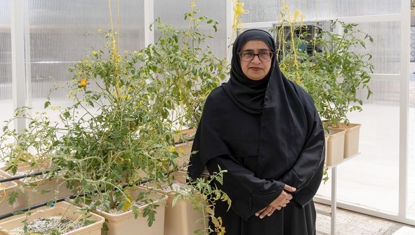 مجلس سيدات أعمال عجمان يدعم المشاريع الزراعية المنزلية بمبادرات مبتكرة