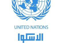 مسئول أممي لـ«الشروق»: الدخل الحقيقى للأسرة المصرية لم يرتفع بنفس وتيرة الدخل القومي