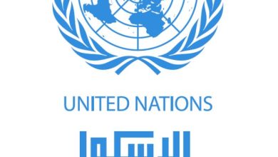 مسئول أممي لـ«الشروق»: الدخل الحقيقى للأسرة المصرية لم يرتفع بنفس وتيرة الدخل القومي