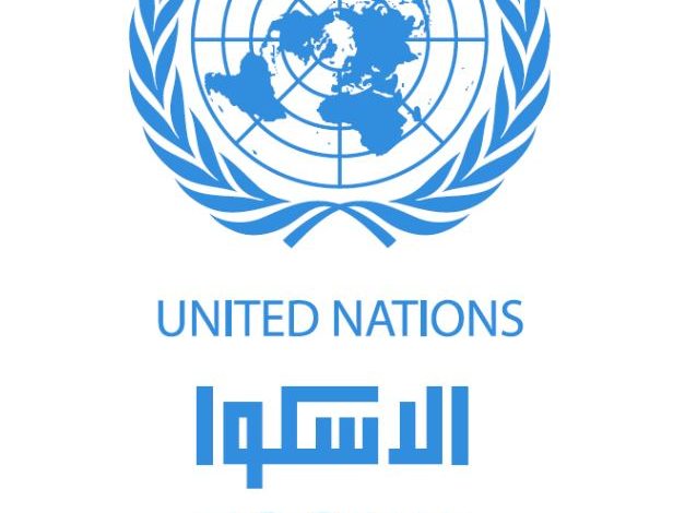 مسئول أممي لـ«الشروق»: الدخل الحقيقى للأسرة المصرية لم يرتفع بنفس وتيرة الدخل القومي