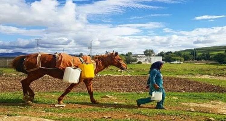 نساء مكبلات بمهام المعيش اليومي.. العمل للنساء والسلطة للرجال
