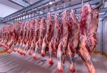 نقيب الجزارين يوجه نصيحة قبل شراء أضحية العيد: الكيلو بـ 390 جنيها والضأن بـ220