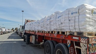 هيئة البث العبرية: ويتكوف تعهد لحماس بالضغط على إسرائيل لاستئناف مساعدات غزة مقابل إطلاق سراح عيدان ألكسندر