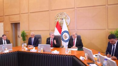 وزير البترول: تحويل الثروة المعدنية لهيئة اقتصادية أحد ثمار العمل التكاملي بين الجهات التنفيذية والتشريعية