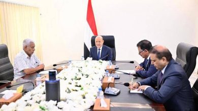 الرئيس اليمني يؤكد جاهزية الجيش لخوض معركة التحرير الشامل - أخبار السعودية