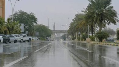«الأرصاد»: أمطار وأتربة مثارة ورياح نشطة على منطقة جازان - أخبار السعودية