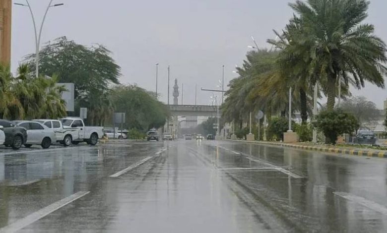 «الأرصاد»: أمطار وأتربة مثارة ورياح نشطة على منطقة جازان - أخبار السعودية