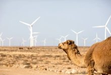المغرب يراهن على ذراع جديدة في النجاعة الطاقية والتمويل الأخضر