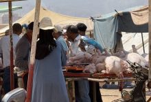 بعد قرار إلغاء عيد الأضحى… إقبال كثيف على « بيبي » بسوق أولاد موسى وارتفاع في الأسعار بـ30 درهماً للكيلوغرام