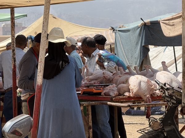 بعد قرار إلغاء عيد الأضحى… إقبال كثيف على « بيبي » بسوق أولاد موسى وارتفاع في الأسعار بـ30 درهماً للكيلوغرام