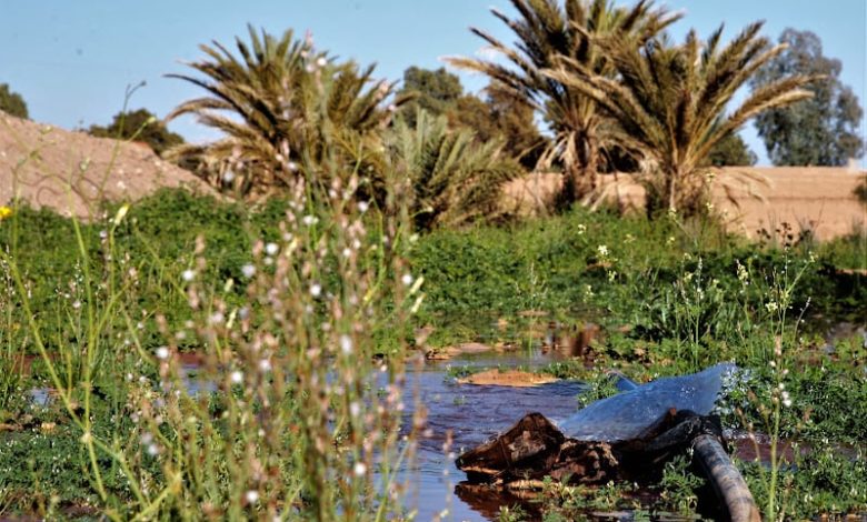 توقعات طقس اليوم السبت بالمغرب