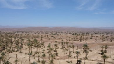 توقعات طقس اليوم السبت بالمغرب