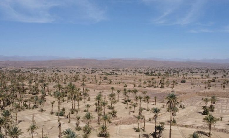 توقعات طقس اليوم السبت بالمغرب