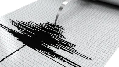 أستاذ بمعهد الفلك: مصر تمر بفترة نشاط زلزالي طبيعية