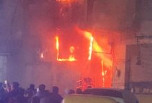 إخماد حريق التهم أشجار داخل منطقة بيانكي العجمي في الإسكندرية