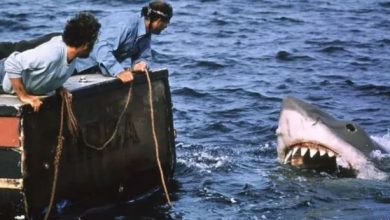 احتفالا بمرور 50 عاما على إصداره.. عرض فيلم الفك المفترس في السينمات الأمريكية أغسطس المقبل