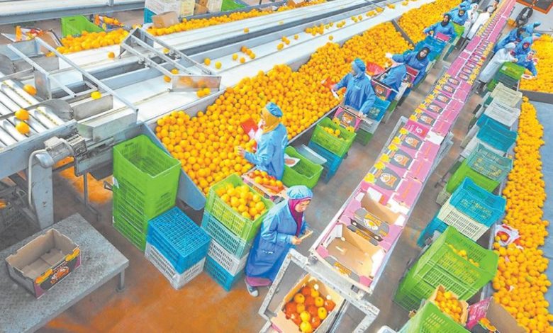 الأسمدة والزيوت المعدنية والفواكه والخضر تتصدر الصادرات المصرية إلى دول البريكس