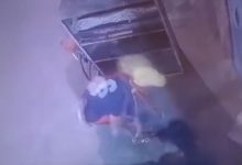 الأمن يكشف حقيقة فيديو تعدي شخص على هرة بمواقع التواصل الاجتماعي
