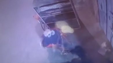 الأمن يكشف حقيقة فيديو تعدي شخص على هرة بمواقع التواصل الاجتماعي