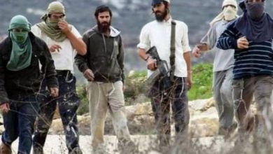 الاتحاد الاوروبي : عشرات الآلاف من الفلسطينيين في المنطقة (ج) معرضون لخطر التهجير