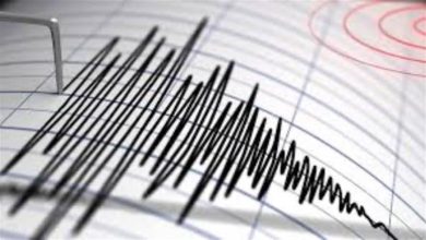 البحوث الفلكية: لا مشكلة في تسجيل زلازل غير محسوسة يوميا.. نرصدها ولا نعلن عنها