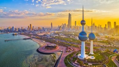 الحكومة تواصل التحرك إقليمياً ودولياً