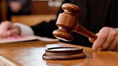 السجن 10 سنوات لمتهمين بحيازة 500 طربة حشيش مخدر في الإسكندرية