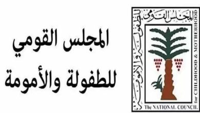 الطفولة والأمومة يتدخل لإنقاذ طفلة معتدى عليها في فيديو متداول بمنطقة المهندسين
